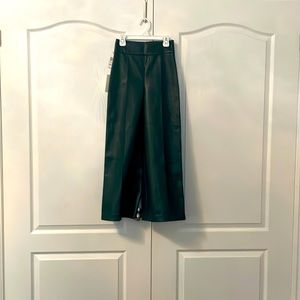 Aritzia Wilfred Vegan Leather pant